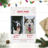 Roos Gold Foil Naughty of Nice Two Dog Photo Card Folie Feestdagenkaart