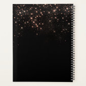 Roos Gold Glitter Diamond Sparkle Elegant Monogram Planner (Achterkant)