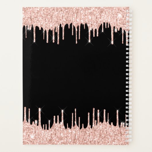 Roos Gold Glitter Drift Monogram Beauty Salon Planner (Achterkant)