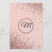 Roos Gold Glitter Sparkles Blush Pink Programma's (Achterkant)