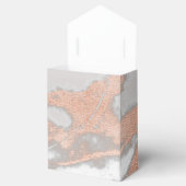 Roos Gold Marble Copper Heart 16th Silver Favor Bedankdoosjes (Geopend)