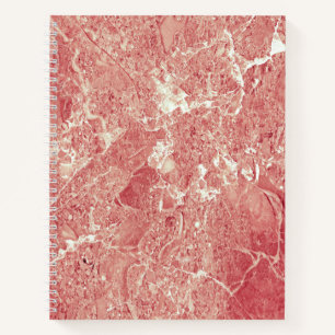 Roos Gold Marble Texture Notitieboek