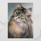 Roos Gold Meowy-kerstklep Folie Feestdagenkaart (Voorkant)