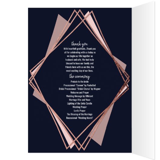 Roos Gold Navy Blue Mauve Geometric Programs (Binnen (Links))