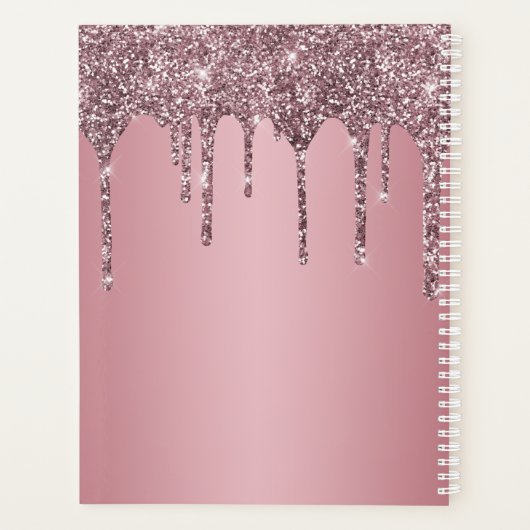 Roos Gold Pink Glitter Drift Sparkle Monogram Name Planner (Achterkant)