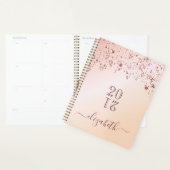 Roos Gold Stars Afsprakenboek 2026 Planner (Display)