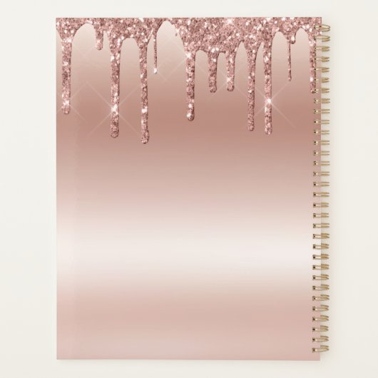 Roos Goud Dripping Glitter Metallic Bruiloft Planner (Achterkant)
