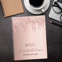 Roos goud glitter blush roze afspraak book 2023 planner