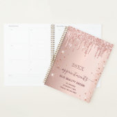 Roos goud glitter druppelt salon benoemments 2023 planner (Display)