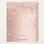 Roos goud glitter druppelt salon benoemments 2023 planner (Achterkant)