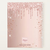 Roos goud glitter monogram naam 2024 planner (Achterkant)