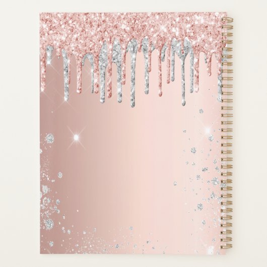 Roos goud glitter roze zilver monogram 2023 planner (Achterkant)