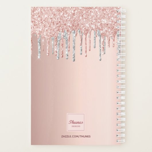 Roos Goud Glitter Zilver Afsprakenboek 2026 Planner (Achterkant)