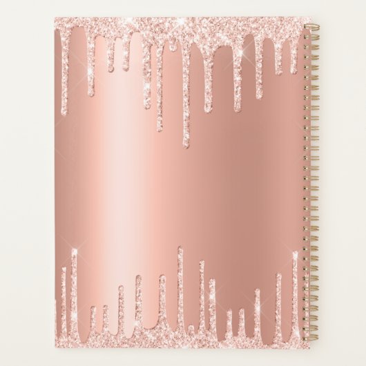 Roos Goud Roze Faux Glitter Aangepaste Naam Jaarli Planner (Achterkant)