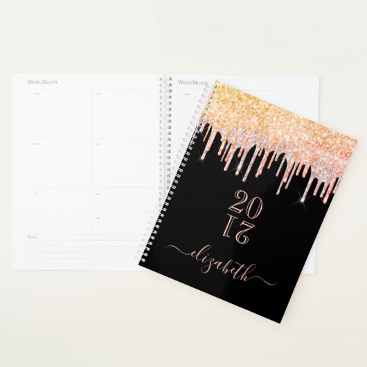 Roos goud roze glitter druppels zwart naam 2024 planner (Display)