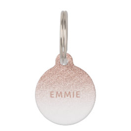 Roos Goud Roze Glitter Ombre Custom Name Huisdierpenning