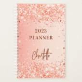 Roos Goud sinaasappel Glitter Naam Script 2026 Planner (Voorkant)