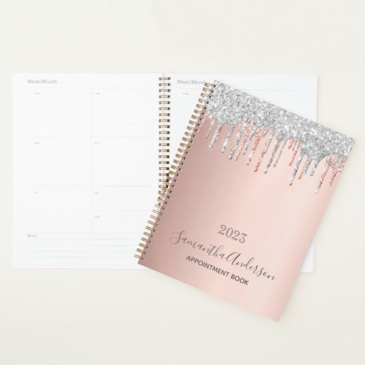 Roos Goud Zilver Glitter Afspraakboek Planner (Display)