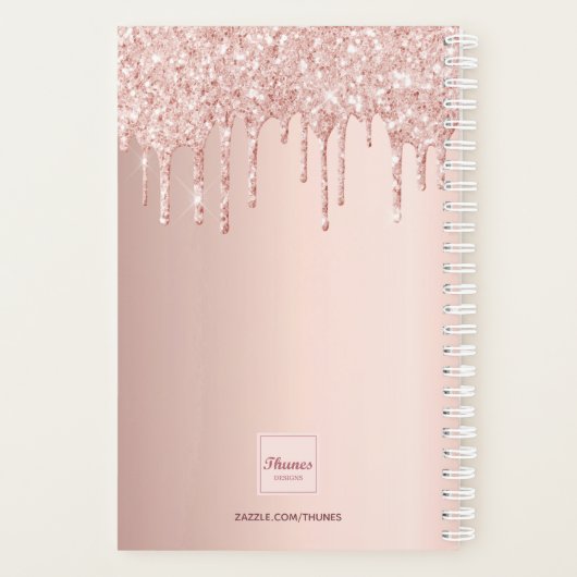 Roos gouden glitter druppelt salonafspraken planner (Achterkant)