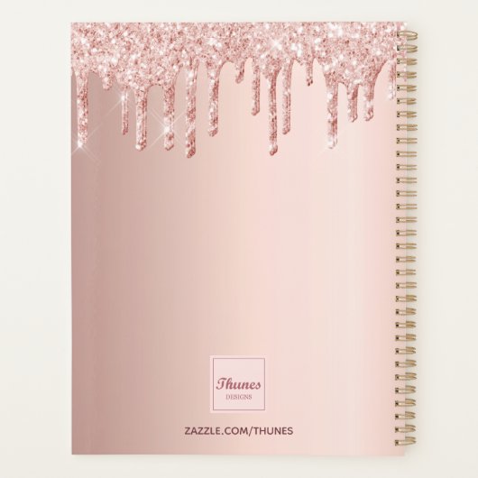 Roos gouden glitter druppelt salonafspraken planner (Achterkant)