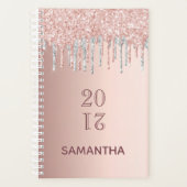 Roos gouden glitter roze zilver 2026 planner (Voorkant)