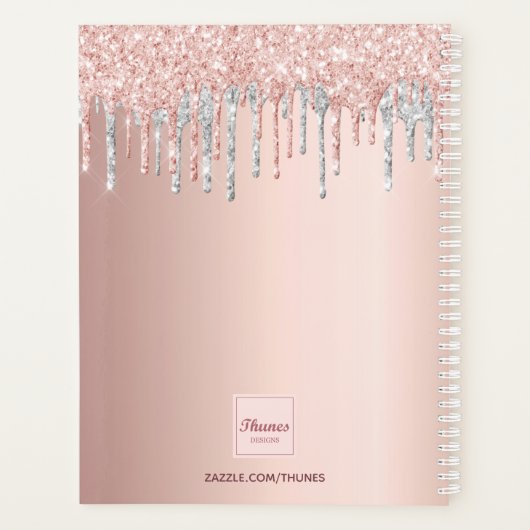 Roos Gouden Glitter Zilveren Salon Afspraken 2025 Planner (Achterkant)