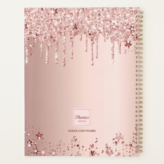 Roos gouden roze sterren 2025 planner (Achterkant)