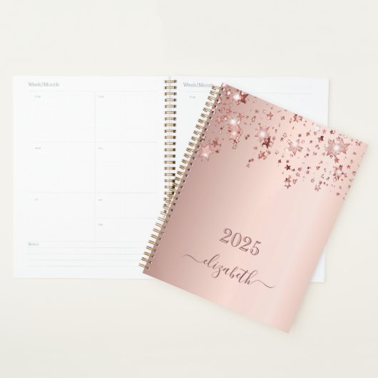 Roos gouden sterren blush roze 2026 planner (Display)