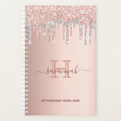 Roos goudglitter blush zilvermonogram planner (Voorkant)