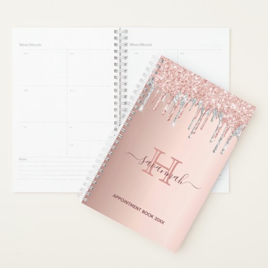 Roos goudglitter blush zilvermonogram planner (Display)