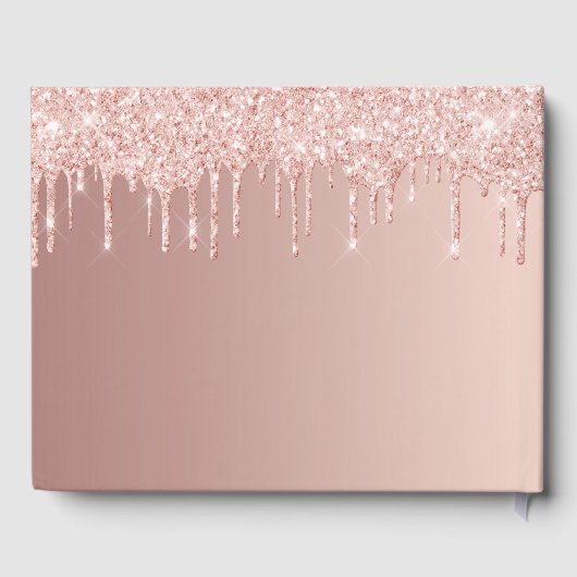 Roos goudglitter druppelt roze gras Quinceanera Gastenboek (Achterkant)