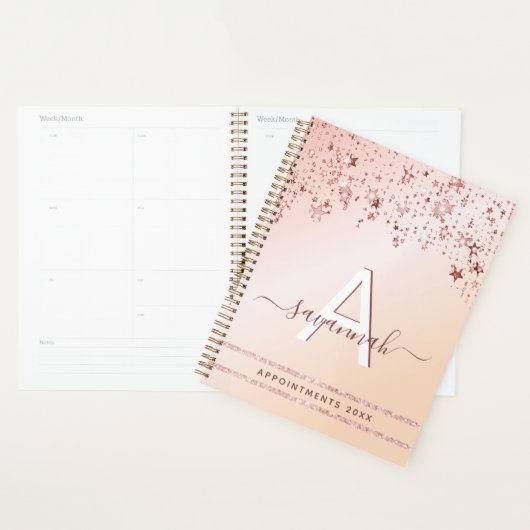 Roos goudroze glitter 2023 moderne sterren planner (Display)