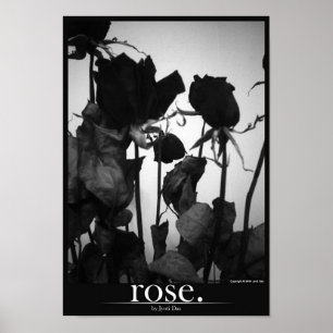 roos [grens] poster