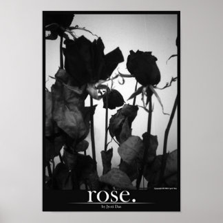 roos [grens] poster