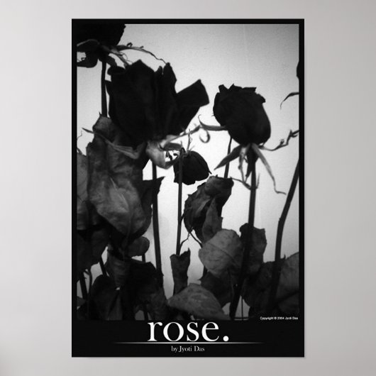 roos [grens] poster (Voorkant)