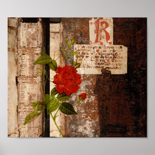 Roos Grunge Poster (Voorkant)