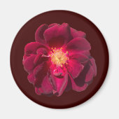 ROOS H MAGNEET (Voorkant)