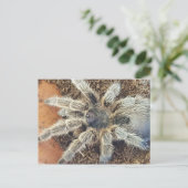 Roos haar Post Card Briefkaart (Staand voorkant)