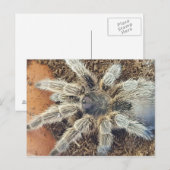 Roos haar Post Card Briefkaart (Voorkant / Achterkant)