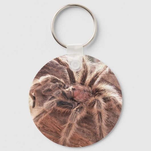 Roos Hair Tarantula Sleutelhanger (Voorkant)