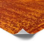 Roos - Harde kunst - 6 Kunstafdrukken Poster (Hoek)