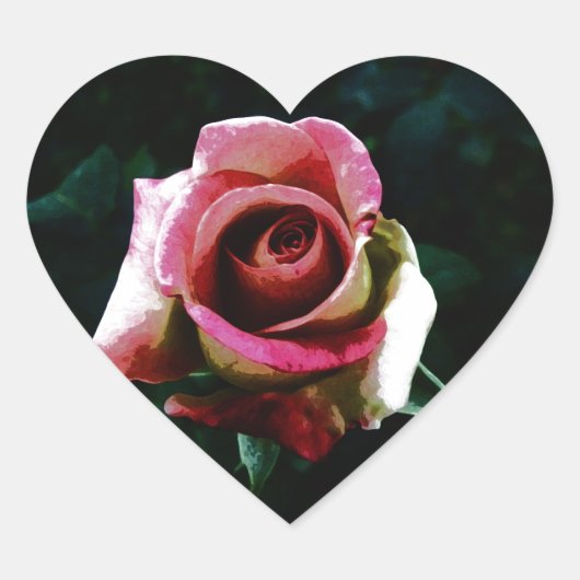 roos hart sticker (Voorkant)