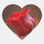 Roos Hart Sticker (Voorkant)