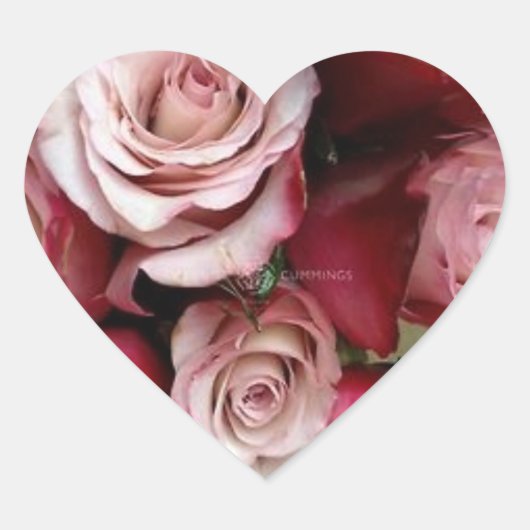 Roos Heart Weddenschappen Hart Sticker (Voorkant)