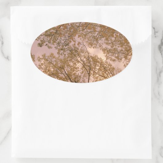 "Roos herfst" Stickers (Tas)