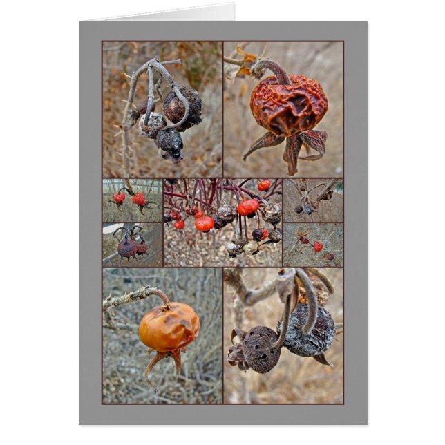 Roos Heupcollage (Voorkant)