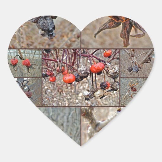 Roos Heupcollage Hart Sticker (Voorkant)