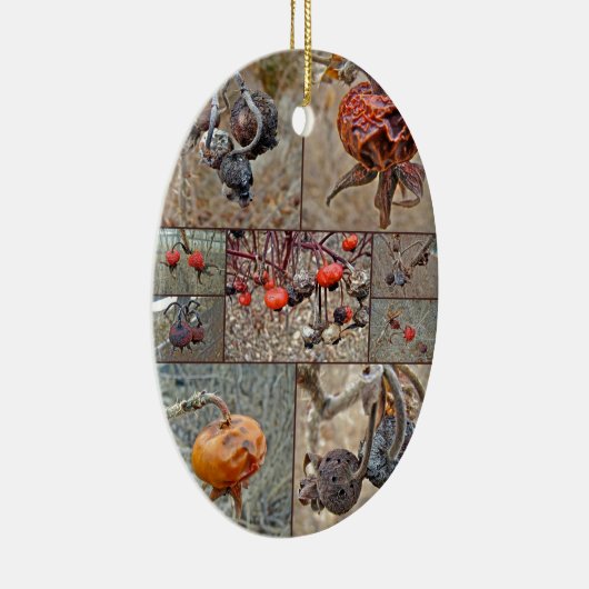 Roos Heupcollage Keramisch Ornament (Rechts)