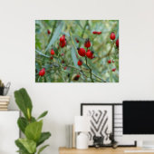 Roos-heupherfst Poster Phto (Thuiskantoor)