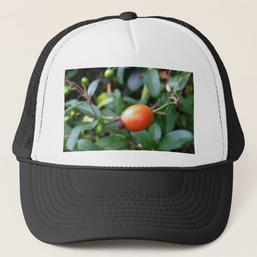 Roos heuppen trucker pet (Voorkant)